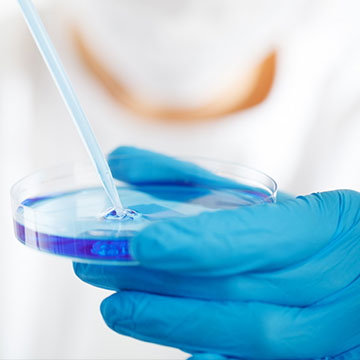 規(guī)范、品控管理